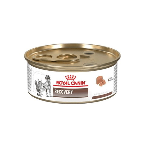 Royal Canin Lata Recovery 150gr 