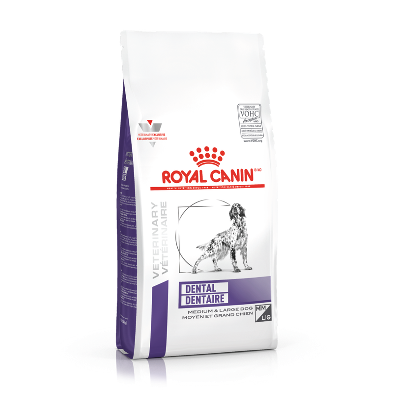 Royal Canin Dental Dog 8kg 