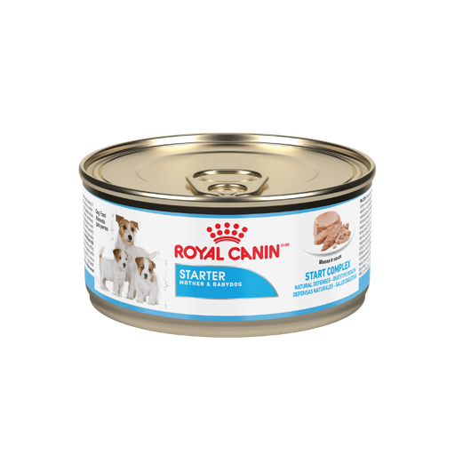 [RC022] POS Royal Canin Starter Mousse 145gr