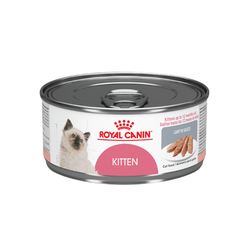 [RC042] POS Royal Canin Kitten Loaf in Sauce 145gr